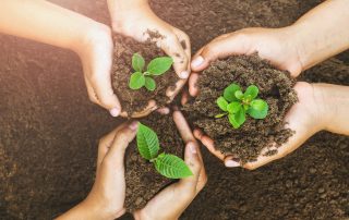 Children planting together in soil